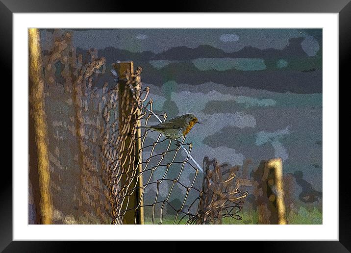 Robin on Wire Framed Mounted Print by Bill Simpson