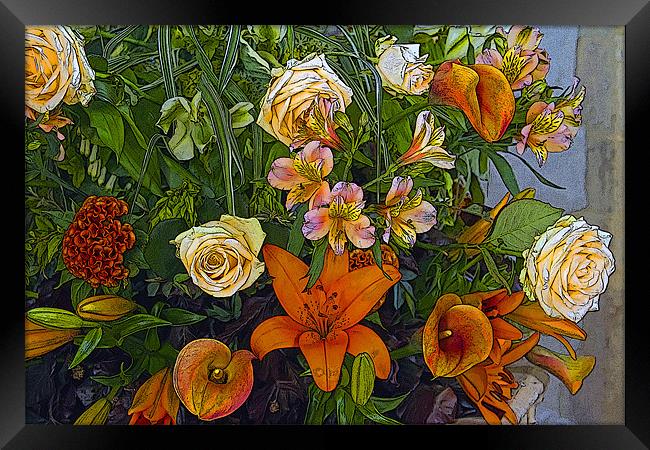Floral Display 1 Posterised Framed Print by Bill Simpson