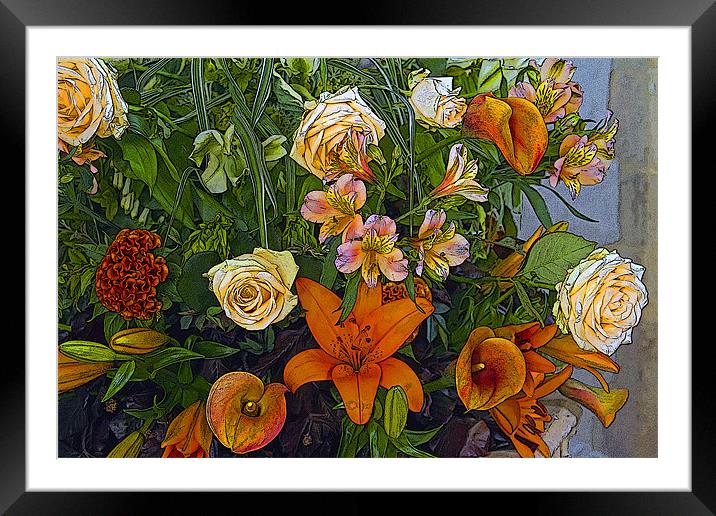 Floral Display 1 Posterised Framed Mounted Print by Bill Simpson
