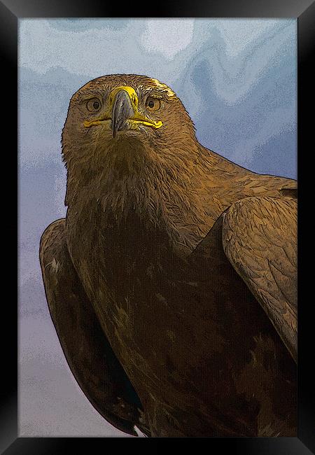 Golden Eagle Portrait with texture Framed Print by Bill Simpson