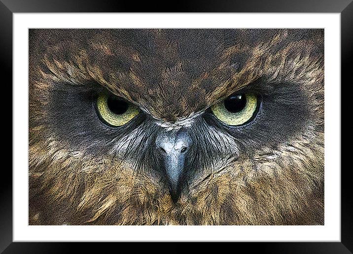 Boobook Owl Watching You Framed Mounted Print by Bill Simpson