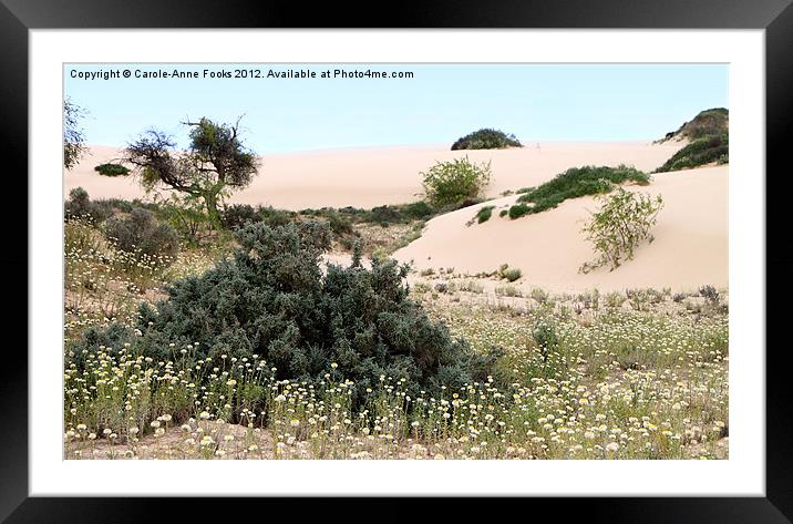 Dunes & Wildflowers Framed Mounted Print by Carole-Anne Fooks