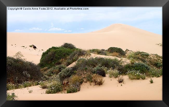 Dunes & Wildflowers Framed Print by Carole-Anne Fooks