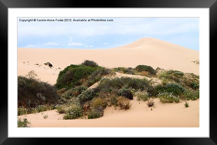 Dunes & Wildflowers Framed Mounted Print by Carole-Anne Fooks