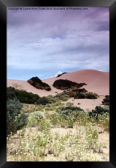 Dunes, Late Afternoon at Mungo Framed Print by Carole-Anne Fooks