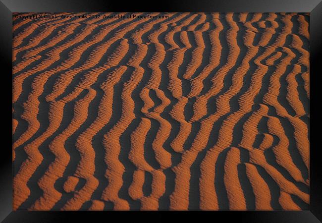 Dune Pattern Framed Print by Carole-Anne Fooks