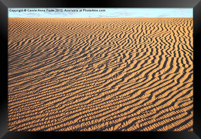 Dune detail just after Sunrise Framed Print by Carole-Anne Fooks