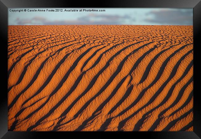 Dune detail after Sunrise Framed Print by Carole-Anne Fooks