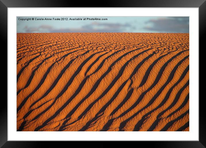 Dune detail after Sunrise Framed Mounted Print by Carole-Anne Fooks