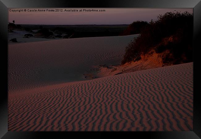 Before Sunrise at Mungo Framed Print by Carole-Anne Fooks