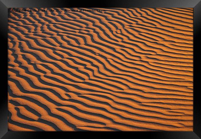 Dune detail after Sunrise Framed Print by Carole-Anne Fooks