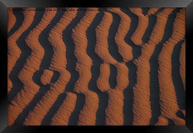 Dune Pattern Detail Framed Print by Carole-Anne Fooks
