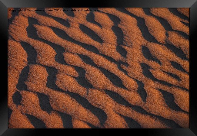 Dune Pattern Detail Framed Print by Carole-Anne Fooks