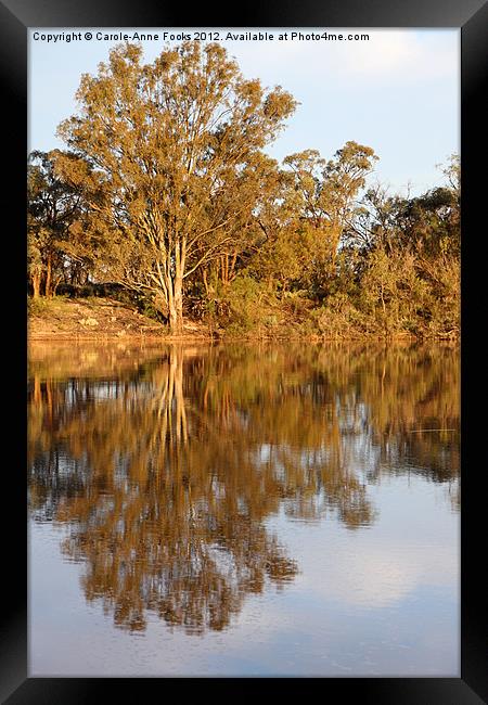 River Murray Reflections Framed Print by Carole-Anne Fooks