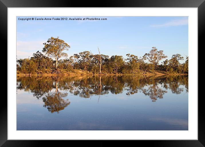 River Murray Reflections Framed Mounted Print by Carole-Anne Fooks