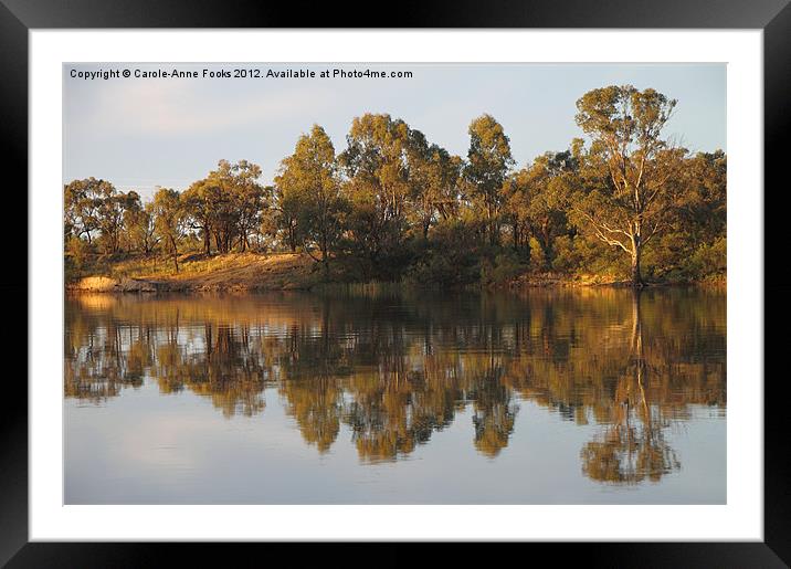 River Murray Reflections Framed Mounted Print by Carole-Anne Fooks