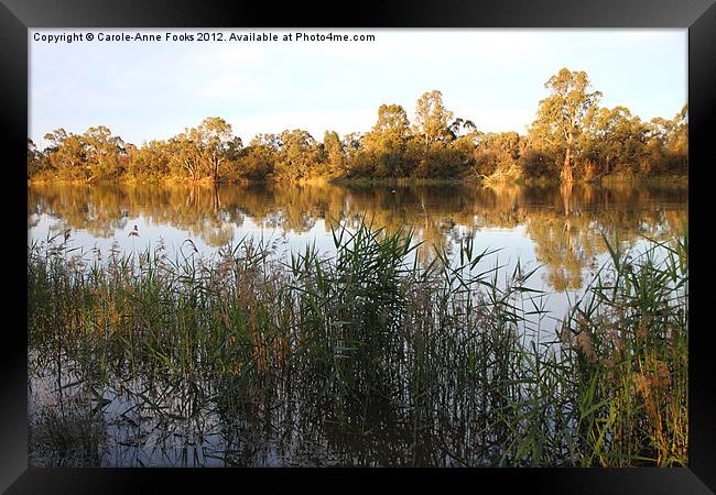River Murray Reflections Framed Print by Carole-Anne Fooks