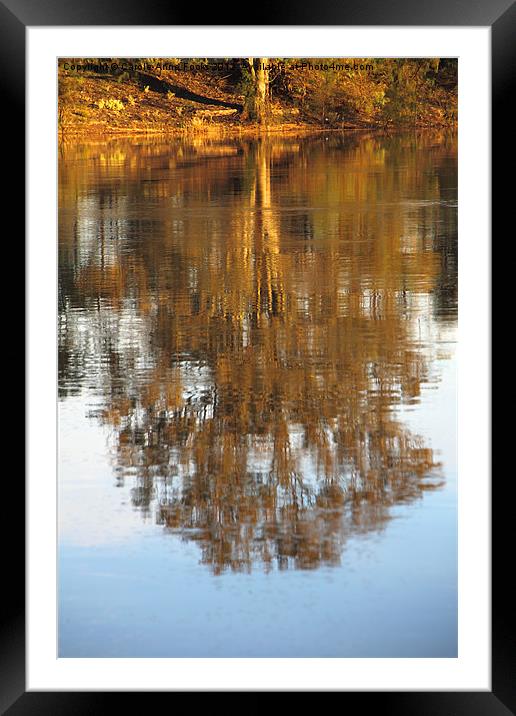 River Murray Reflections Framed Mounted Print by Carole-Anne Fooks