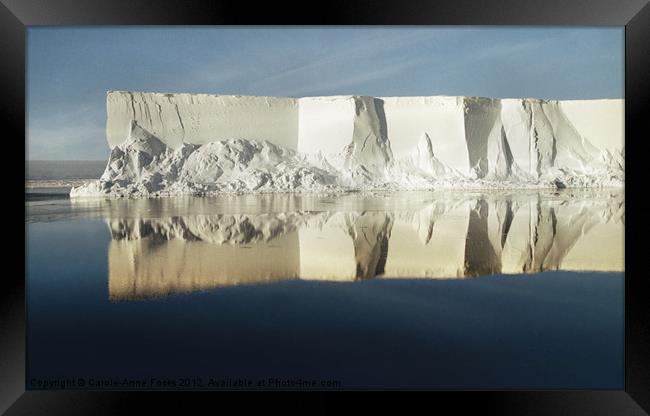 Iceberg Ross Sea Antarctica Framed Print by Carole-Anne Fooks