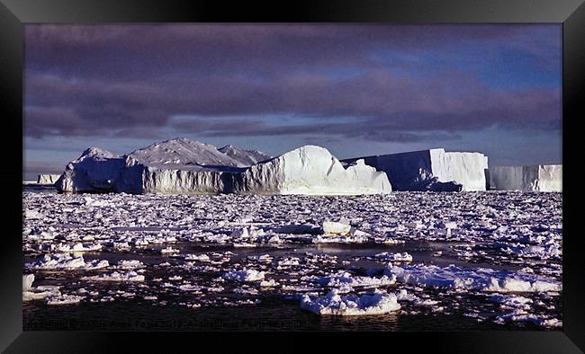 Icebergs Ross Sea Antarctica Framed Print by Carole-Anne Fooks