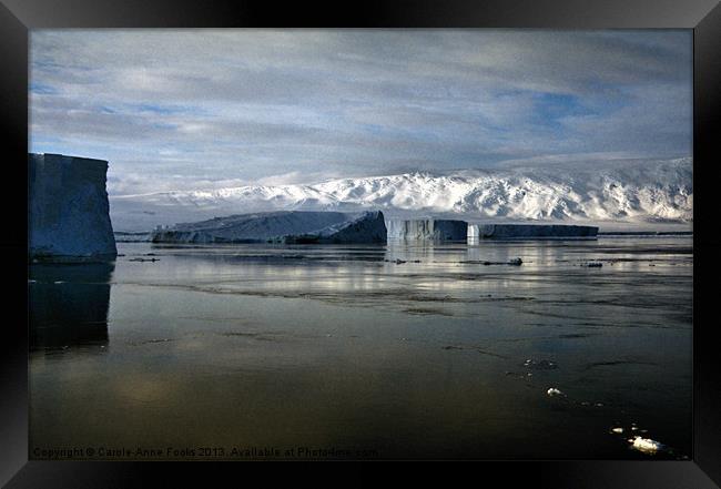 Icebergs & The Transantarctic Range Framed Print by Carole-Anne Fooks