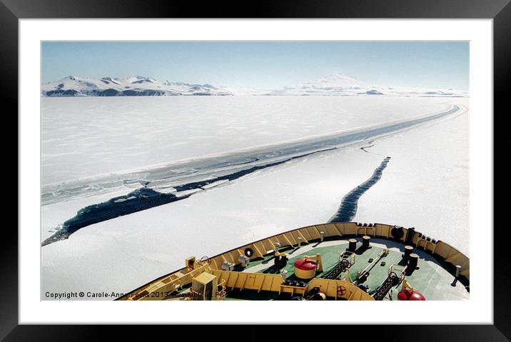 Ice Breaking in the Terra Nova Bay Antarctica Framed Mounted Print by Carole-Anne Fooks