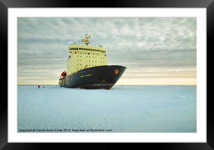 Kapitan Klebnikov Icebreaker Framed Mounted Print by Carole-Anne Fooks
