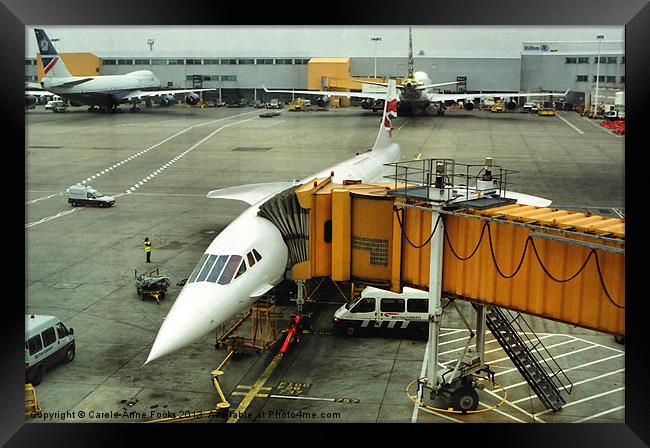 Concorde at Heathrow London Framed Print by Carole-Anne Fooks