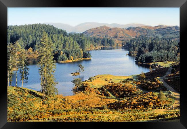 Tarn Hows The Lakes District Framed Print by Carole-Anne Fooks