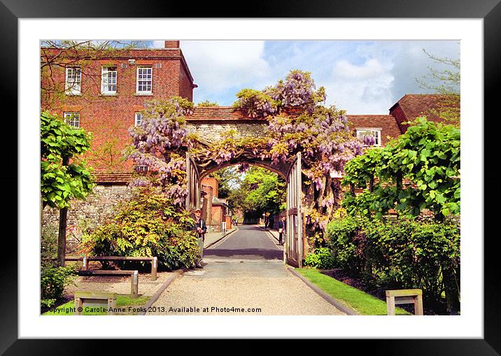 Wisteria Bower Winchester Framed Mounted Print by Carole-Anne Fooks