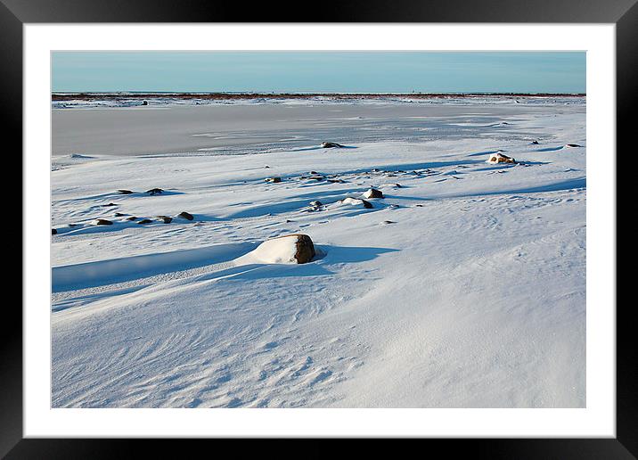 Early Morning on the Tundra Canada Framed Mounted Print by Carole-Anne Fooks