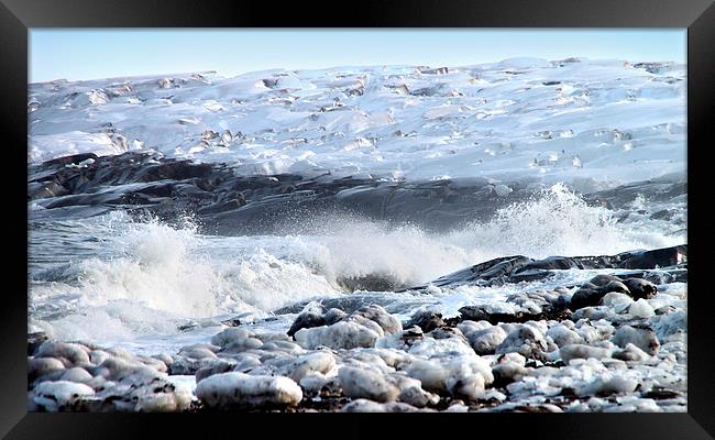 Hudson Bay Shoreline Canada Framed Print by Carole-Anne Fooks