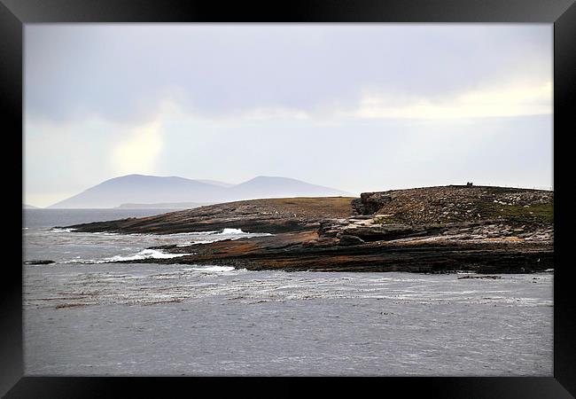 Approaching Carcass Island in The Falklands Framed Print by Carole-Anne Fooks