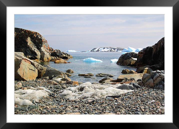 Cierva Cove Antarctica Framed Mounted Print by Carole-Anne Fooks