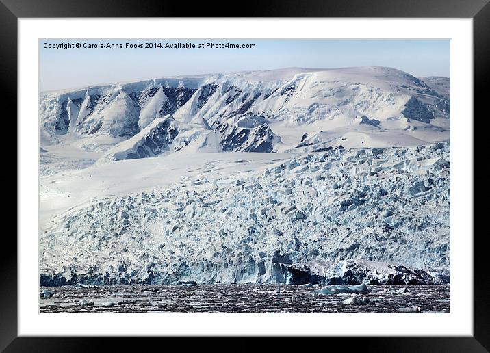 Glacier in Cierva Cove Antarctica Framed Mounted Print by Carole-Anne Fooks