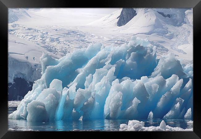 Iceberg Cierva Cove Antarctica Framed Print by Carole-Anne Fooks