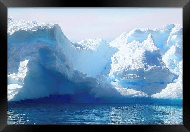 Iceberg Detail Cierva Cove, Antarctica Framed Print by Carole-Anne Fooks