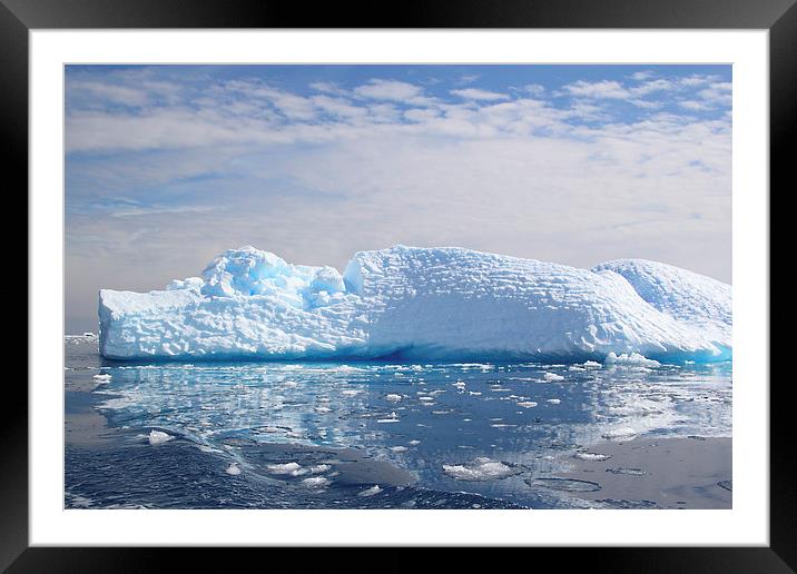 Iceberg in Cierva Cove, Antarctica Framed Mounted Print by Carole-Anne Fooks