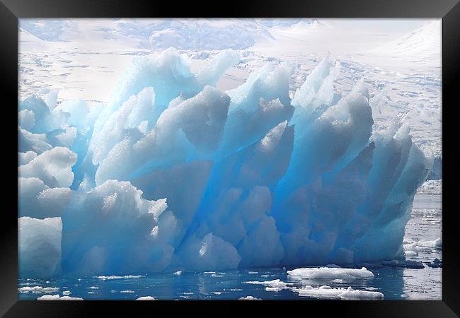 Iceberg Cierva Cove Antarctica Framed Print by Carole-Anne Fooks