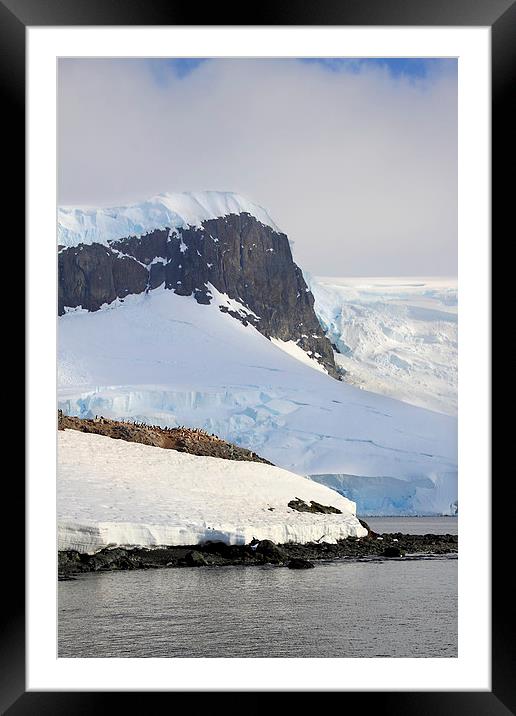Trinity Island & The Antarctic Peninsula Framed Mounted Print by Carole-Anne Fooks