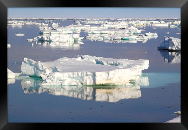 Ice Floes in the Bransfield Straight Antarctica Framed Print by Carole-Anne Fooks