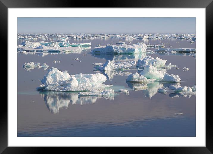 Ice Floes in the Bransfield Straight Antarctica Framed Mounted Print by Carole-Anne Fooks