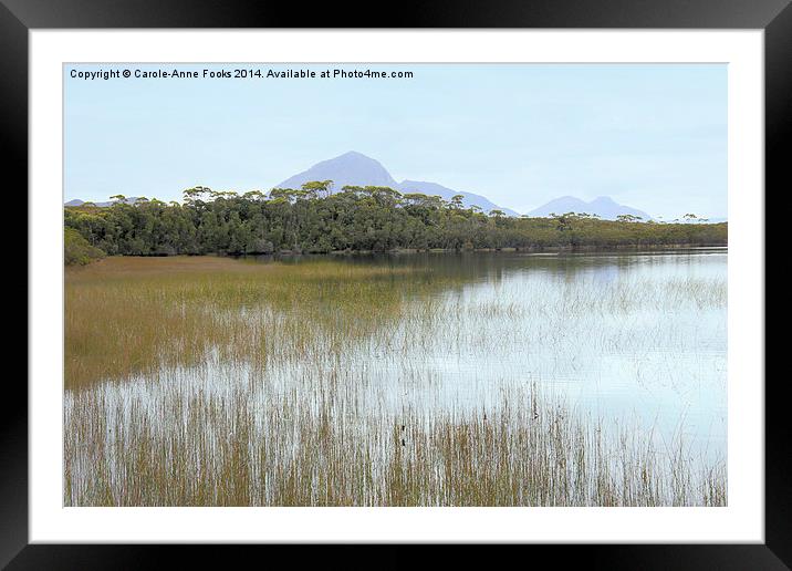 Melaleuca Lagoon Framed Mounted Print by Carole-Anne Fooks