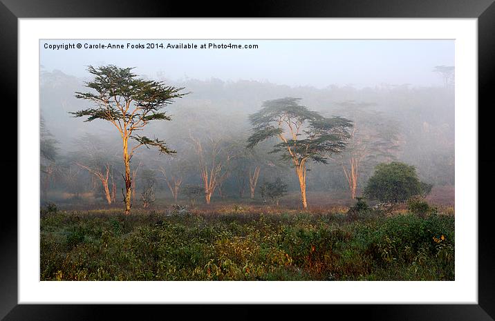 Foggy Morning, Lake Nakuru, Kenya Framed Mounted Print by Carole-Anne Fooks