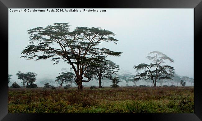Foggy Morning, Lake Nakuru, Kenya Framed Print by Carole-Anne Fooks