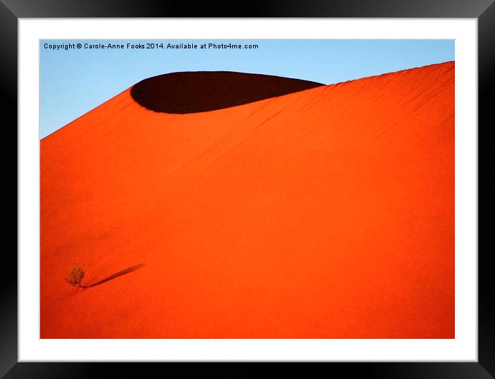 Sculptured dune, Namib Desert soon after sunrise Framed Mounted Print by Carole-Anne Fooks