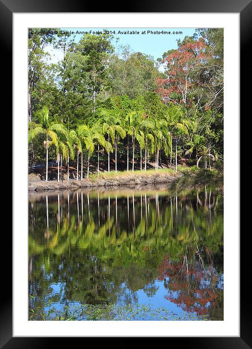  Mount Coot-tha Botanic Gardens, Brisbane Framed Mounted Print by Carole-Anne Fooks