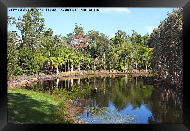   Mount Coot-tha Botanic Gardens, Brisbane Framed Print by Carole-Anne Fooks
