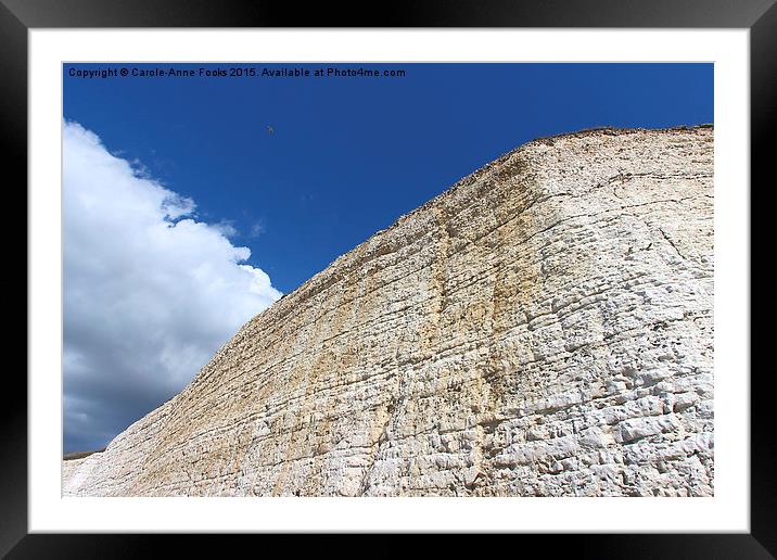   Chalk Cliffs at Saltdean East Sussex Framed Mounted Print by Carole-Anne Fooks