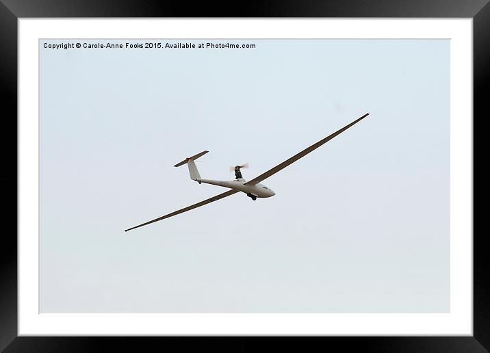 Glider in Flight Framed Mounted Print by Carole-Anne Fooks